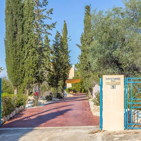 Apollon Dionysus * Peyia